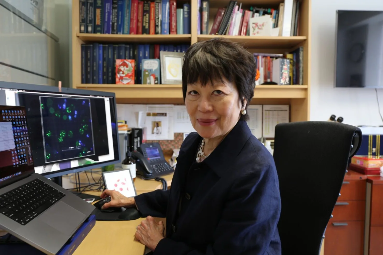 Dr Swee Lay Thein Lakar Sejarah Saintis Malaysia Pertama Genggam Breakthrough Prizes, Nilai USD Juta!