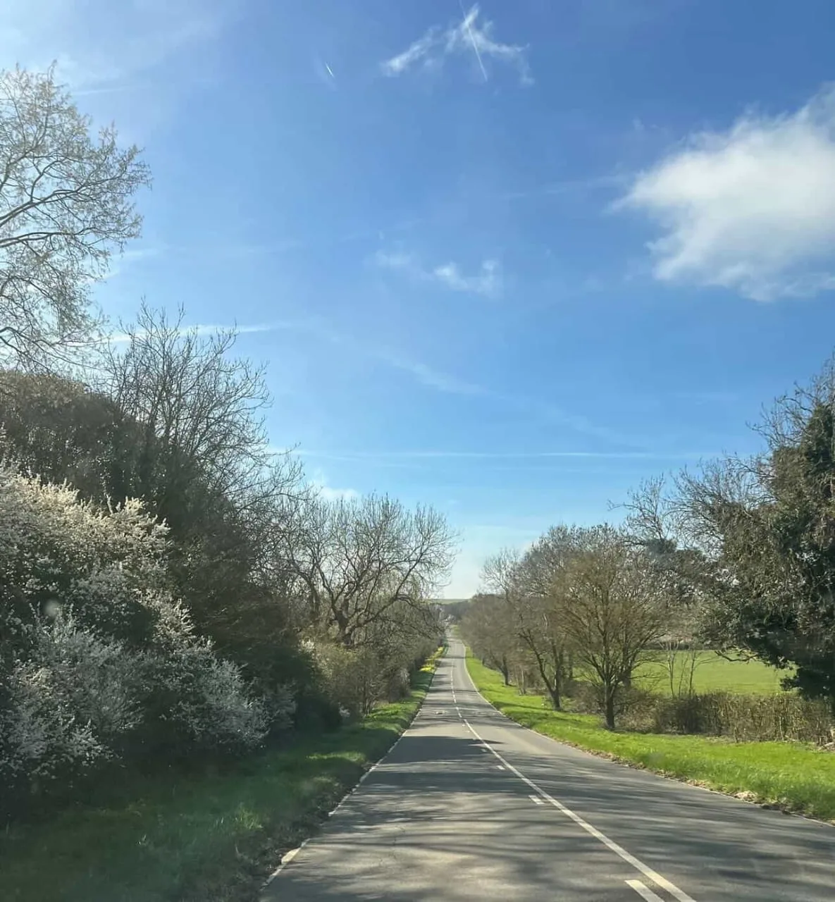 Haliza Hashim Pindah Bedford, Wartawan Veteran TV3 Ini Pilih Hidup Tenang Di Desa 22 Haliza Hashim Pindah Bedford, Wartawan Veteran TV3 Ini Pilih Hidup Tenang Di Desa