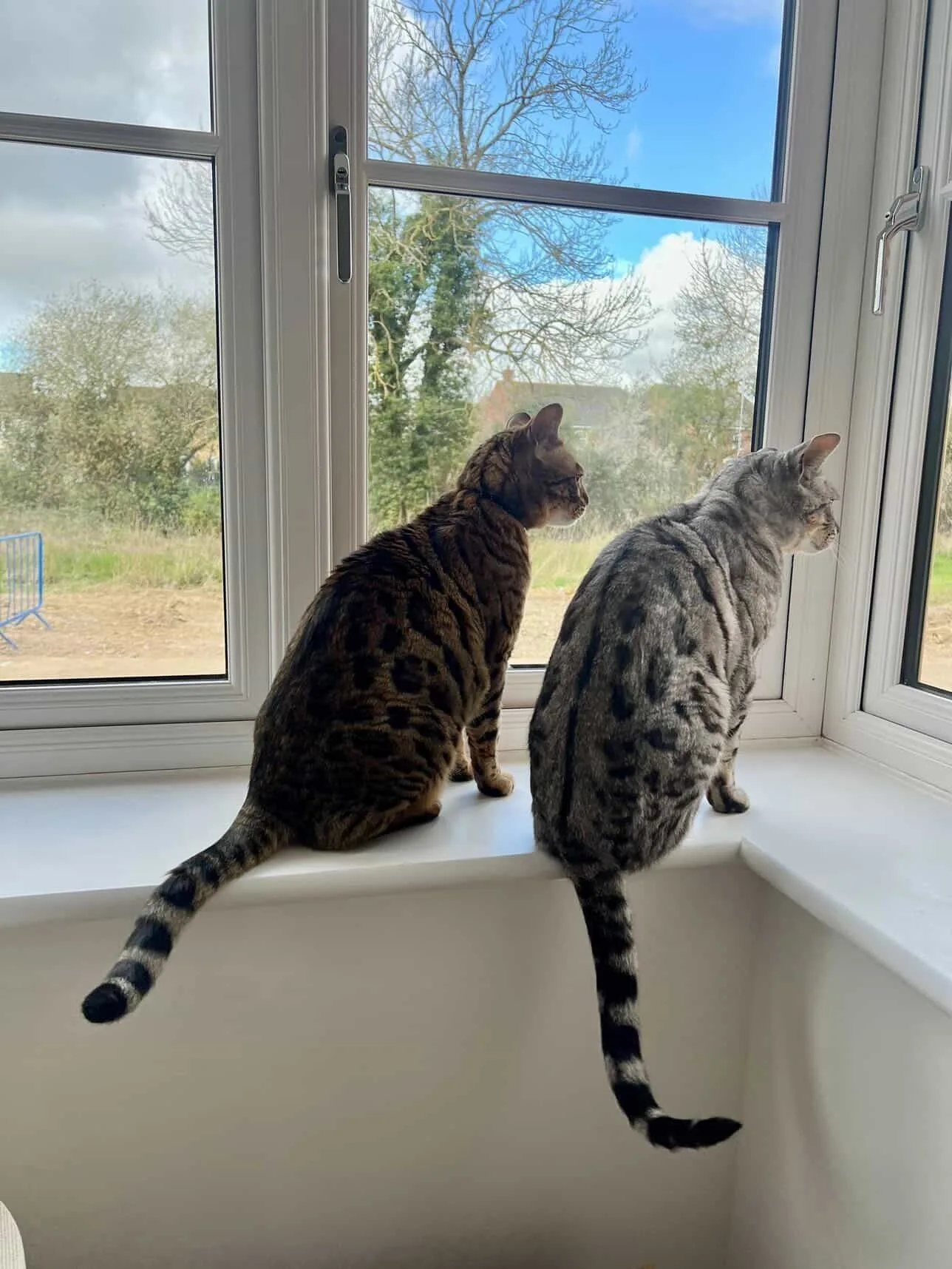 Haliza Hashim Pindah Bedford, Wartawan Veteran TV3 Ini Pilih Hidup Tenang Di Desa 19 Haliza Hashim Pindah Bedford, Wartawan Veteran TV3 Ini Pilih Hidup Tenang Di Desa