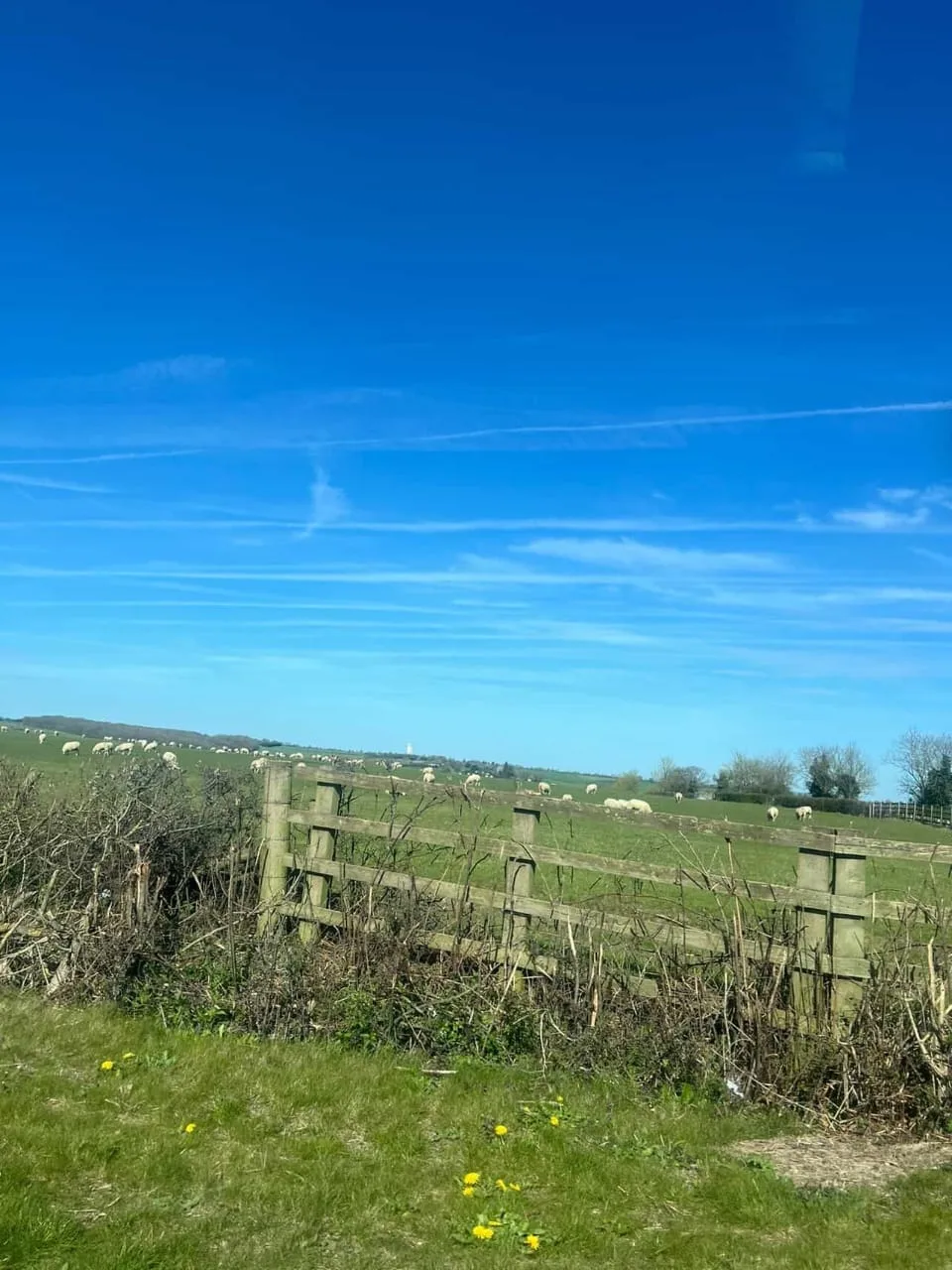 Haliza Hashim Pindah Bedford, Wartawan Veteran TV3 Ini Pilih Hidup Tenang Di Desa 25 Haliza Hashim Pindah Bedford, Wartawan Veteran TV3 Ini Pilih Hidup Tenang Di Desa