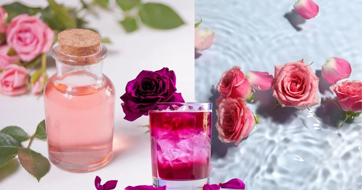 Madhuri Dixit Dedah Rahsia Kulit Mulus Usia 59, Penting Pakai 'Rose Water' Setiap Hari 13 Madhuri Dixit Dedah Rahsia Kulit Mulus Usia 59, Penting Pakai ‘Rose Water’ Setiap Hari